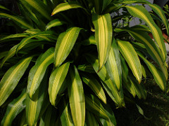 5410372468_de082dcd4e_n